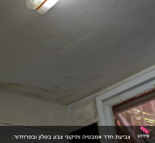 מנורת פלורסנט מותקנת על תקרה בחדר אמבטיה